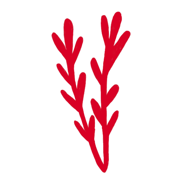 Ast rot